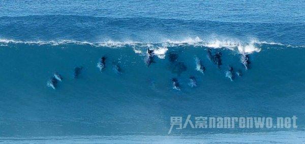 智能汽车拼图
